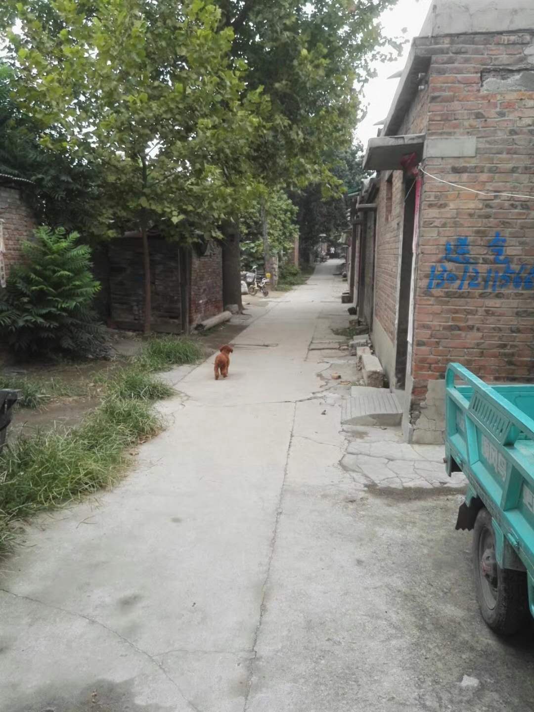 ���Ǵ�ˮ�೧�ſ�ƽ��200ƽ�����ⷿס�˿����������ʱ����15233839040